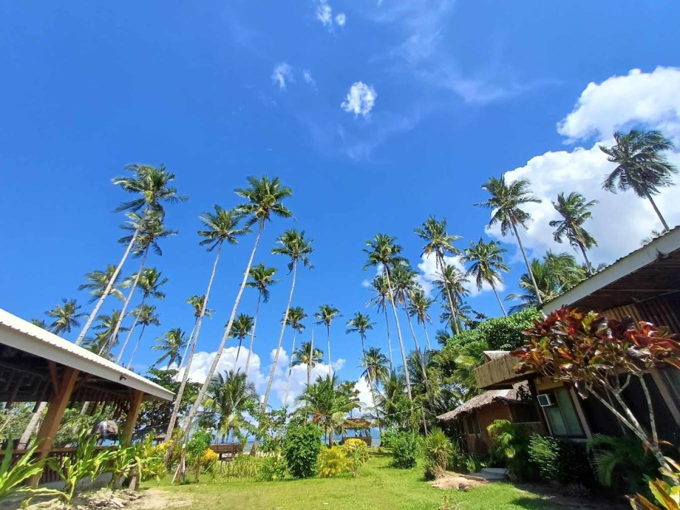 Amihan Beach Hostel San Vicente  Eksteriør billede