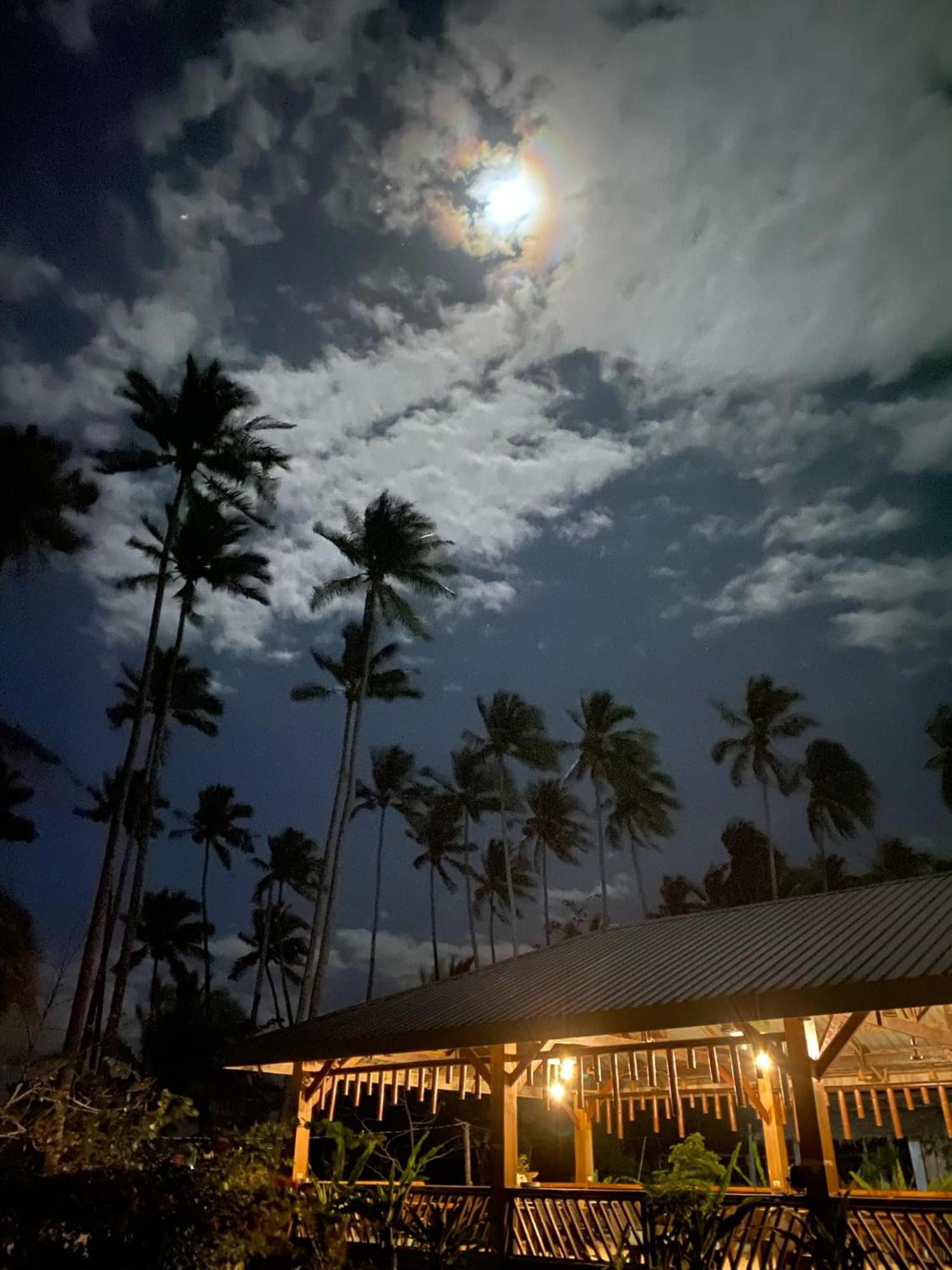 Amihan Beach Hostel San Vicente  Eksteriør billede