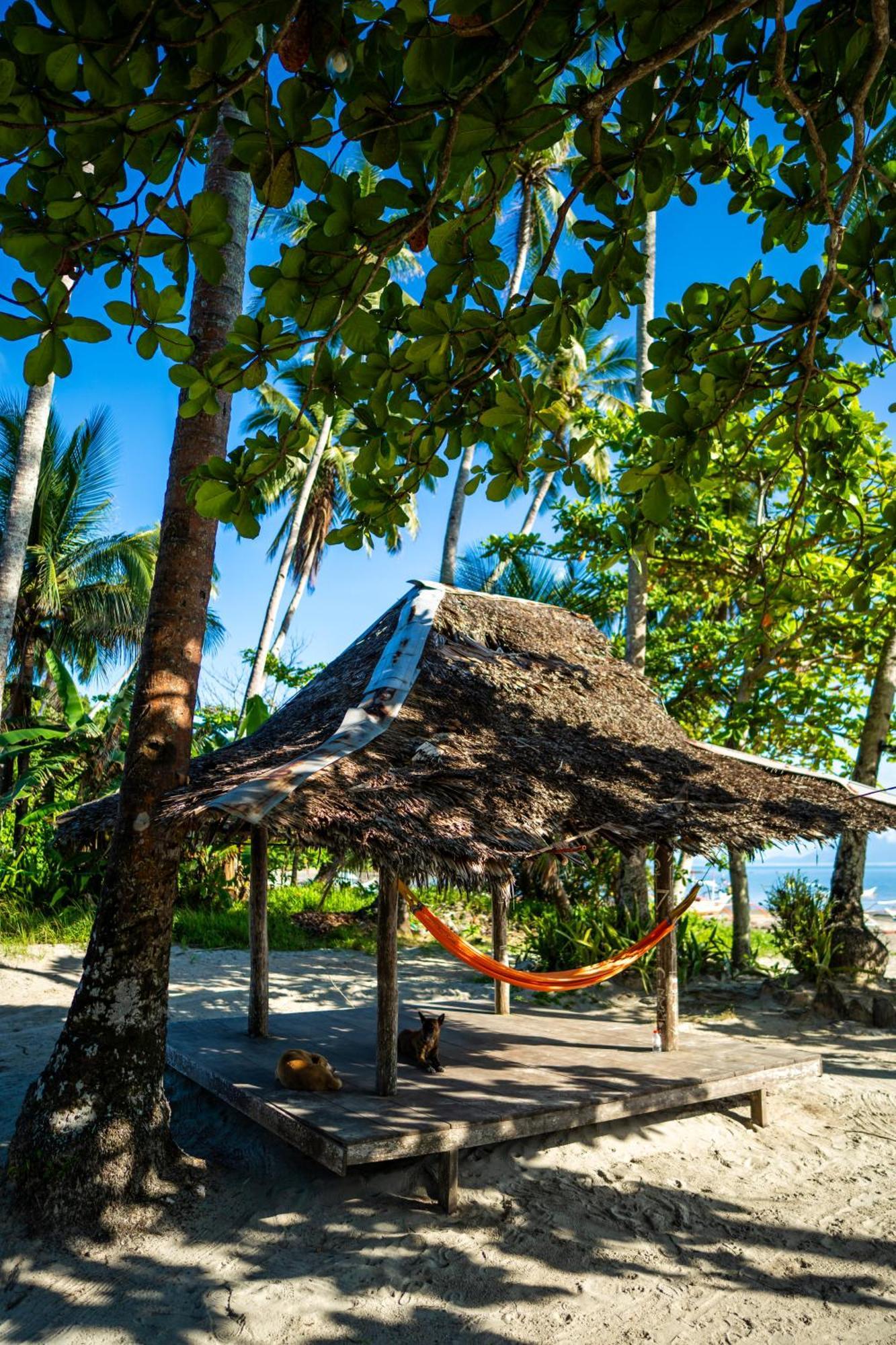 Amihan Beach Hostel San Vicente  Eksteriør billede